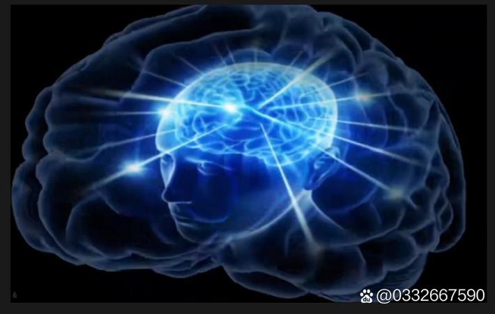 选秀节目黑幕再起风波，前选手爆料内幕惊人